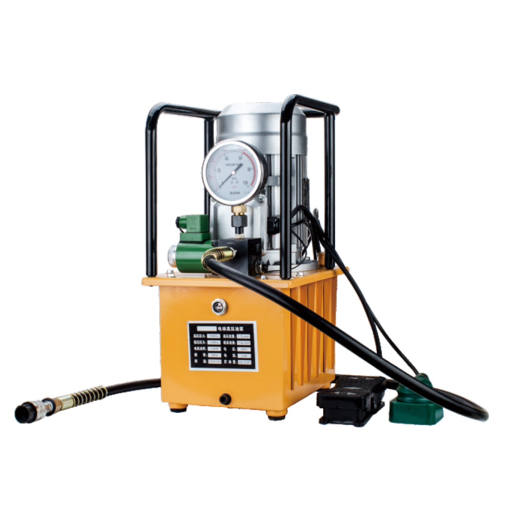 Professional Electric Hydraulic Pump, Industrial Grade, Portable Unit with Gauge and Hose for Automotive, Construction, and Machinery, DB150-D1 Model